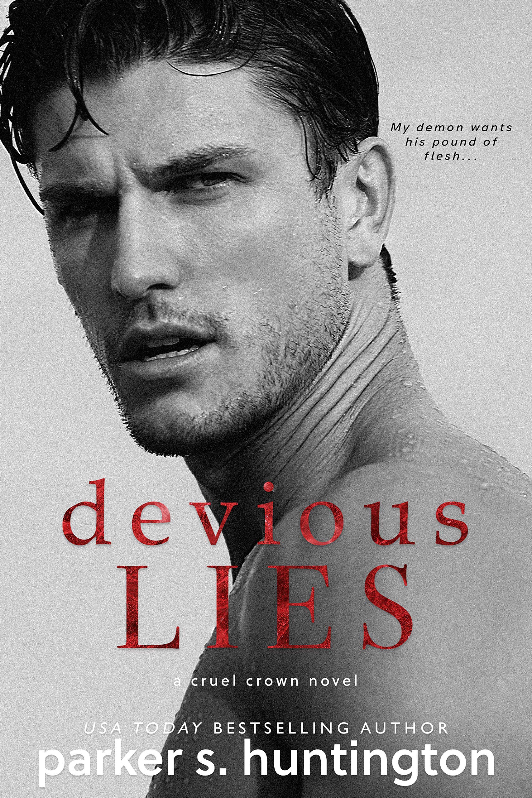 Devious Lies: A Standalone Enemies-to-Lovers Romance