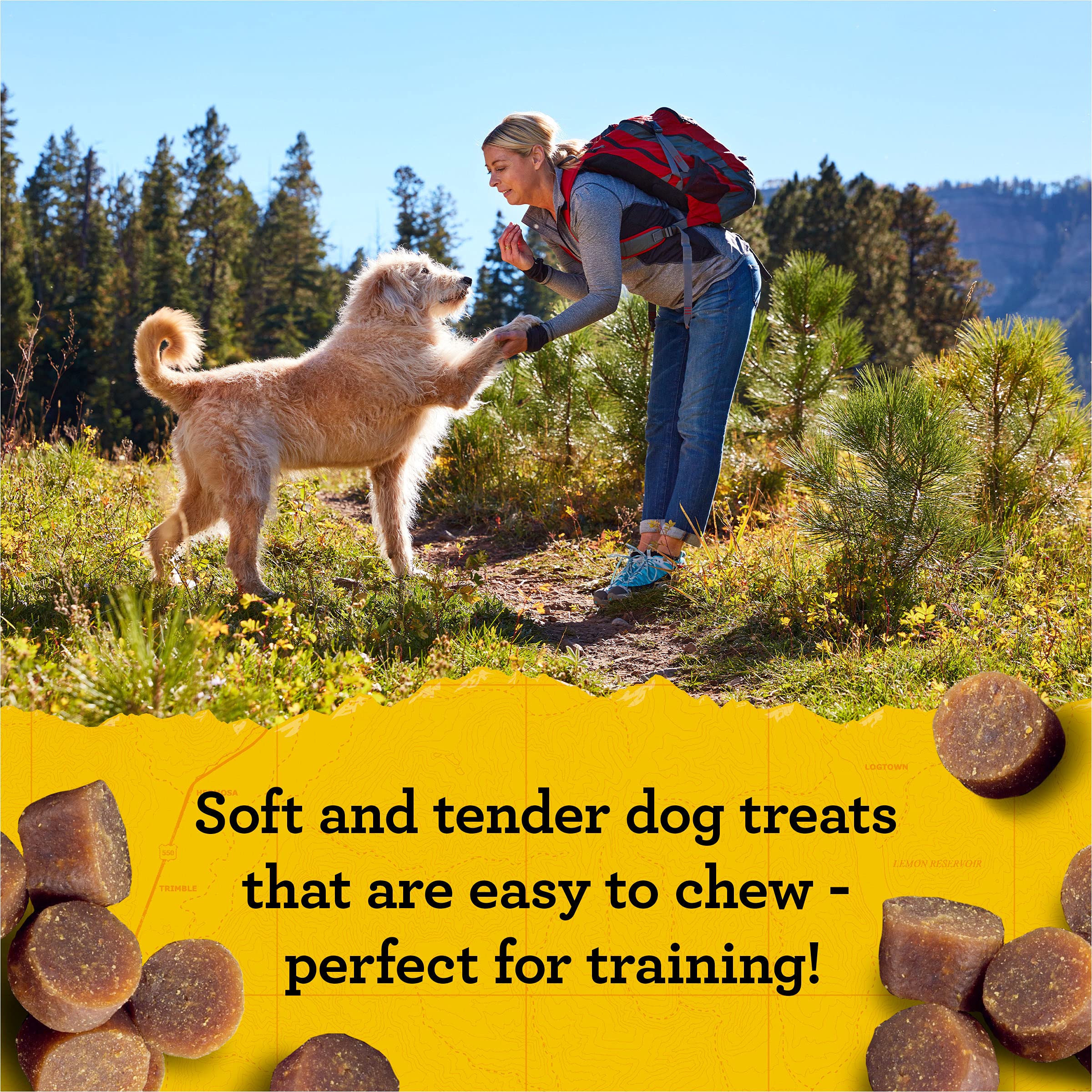 Zuke’s Mini Naturals Soft And Chewy Dog Treats For Training Pouch, Natural Treat Bites With Salmon Recipe - 6 oz. Bag