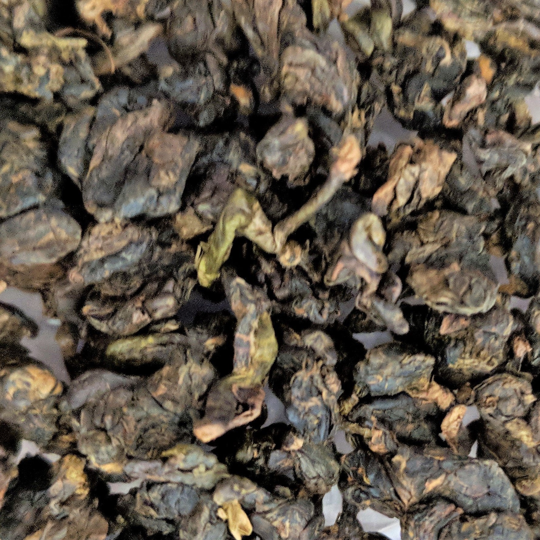 Organic Alishan GABA Oolong