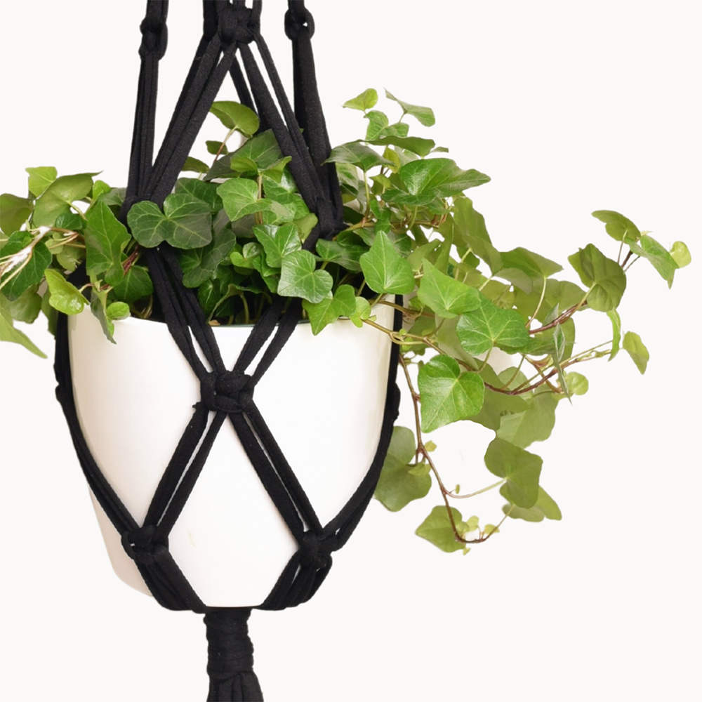 Black Eco DIY Macrame Plant Hanger Kit