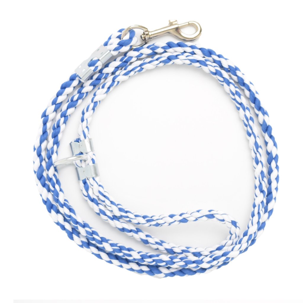 Blue Skies Element Leash