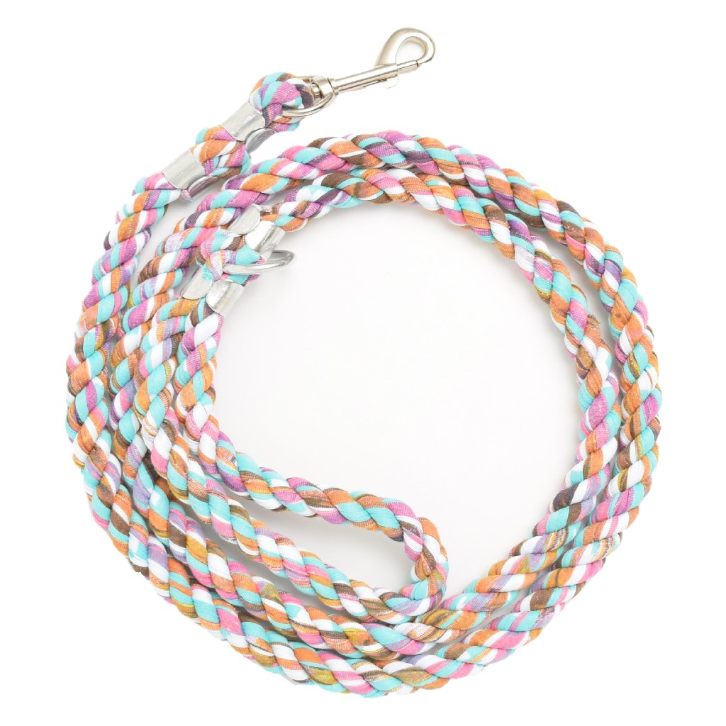 Disco Doggy Element Leash