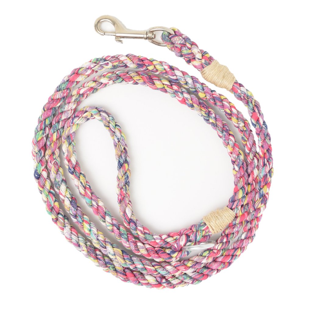 Electric Rainbow Artisan Leash