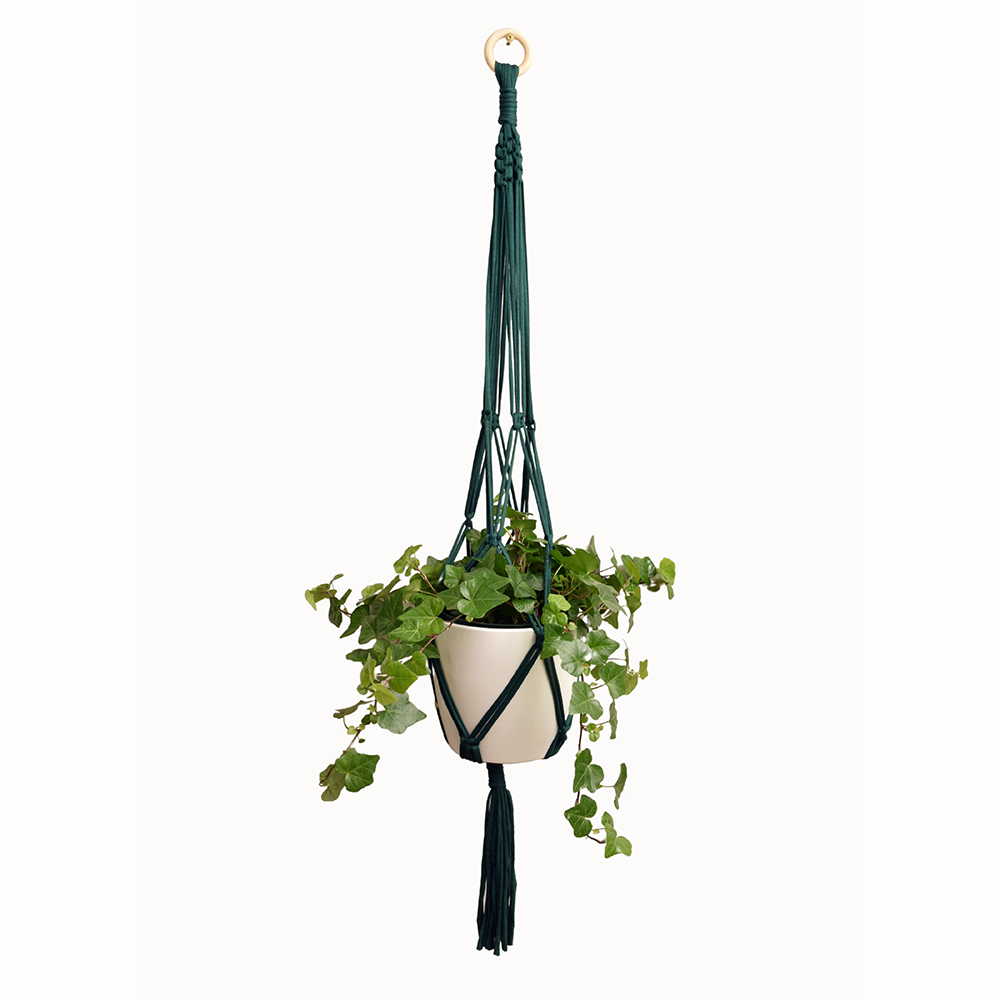 DIY Eco Macramé Plant Hanger Kit NEW