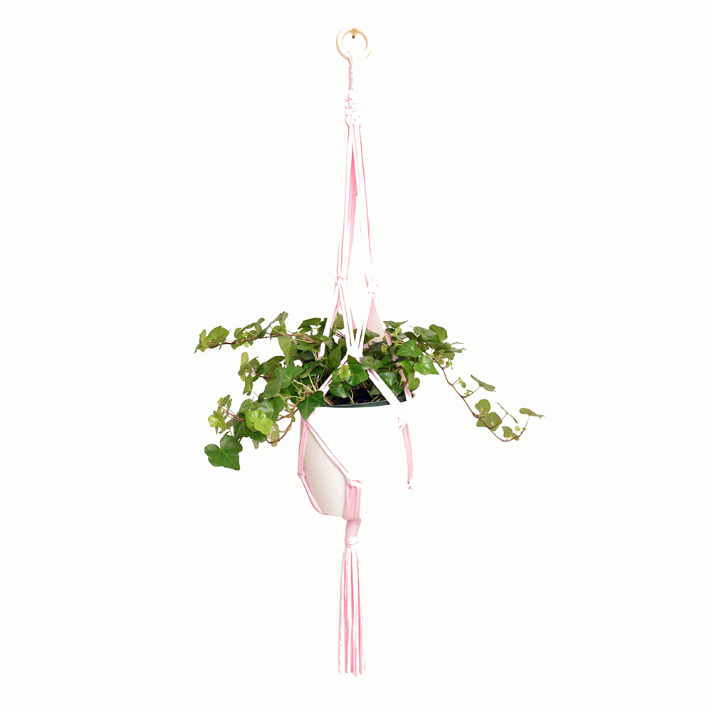 DIY Eco Macramé Plant Hanger Kit NEW