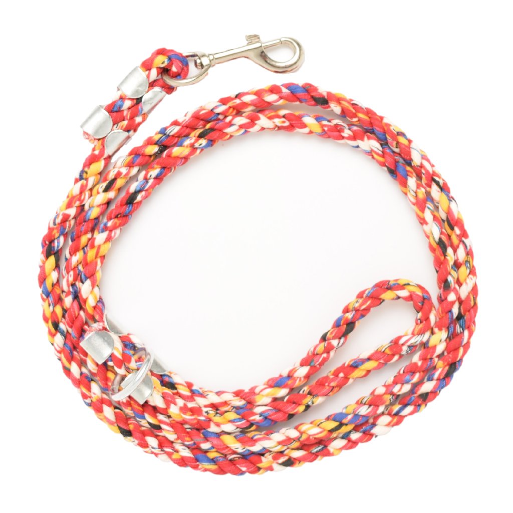 Primary Pooch Element Leash