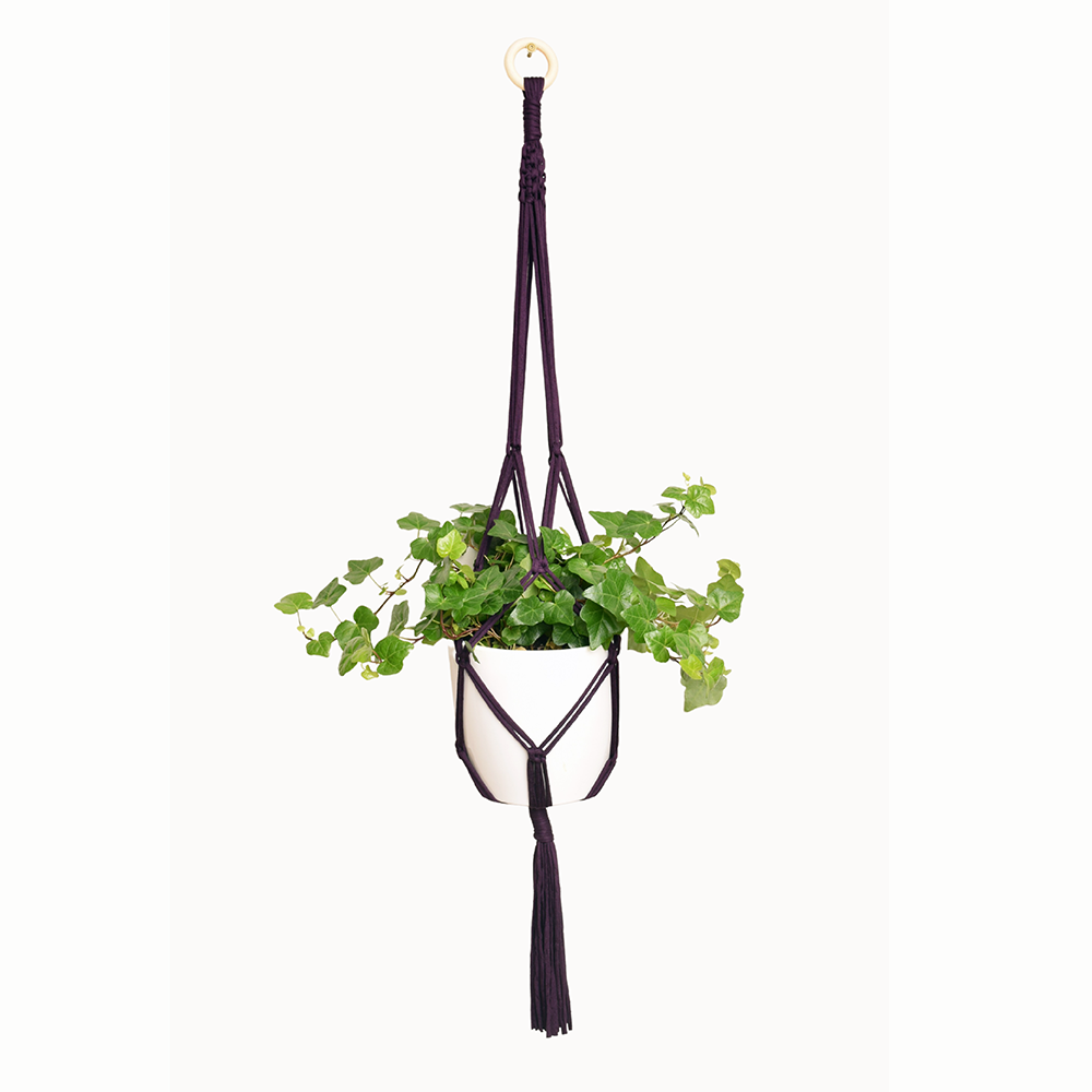 DIY Eco Macramé Plant Hanger Kit NEW