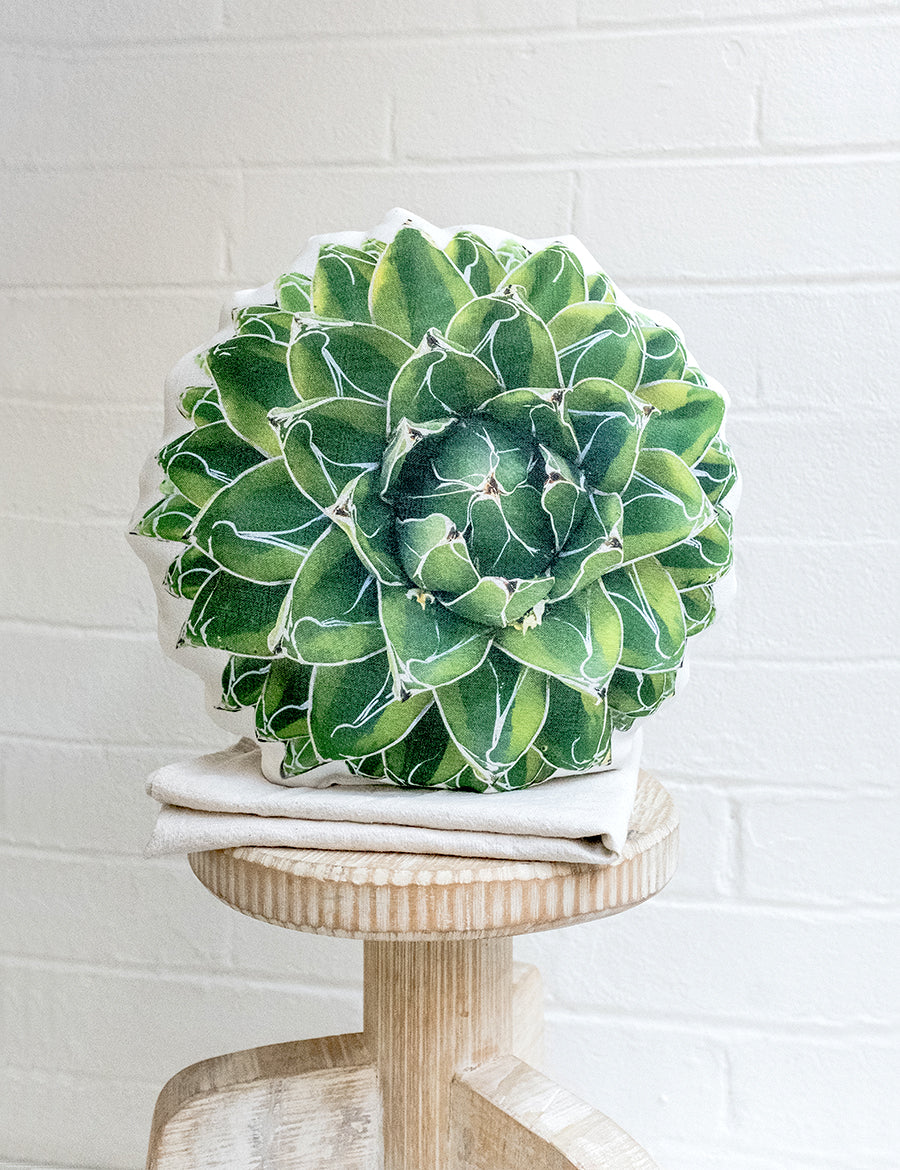 Agave Victoria Pillow, Father's Day Gift