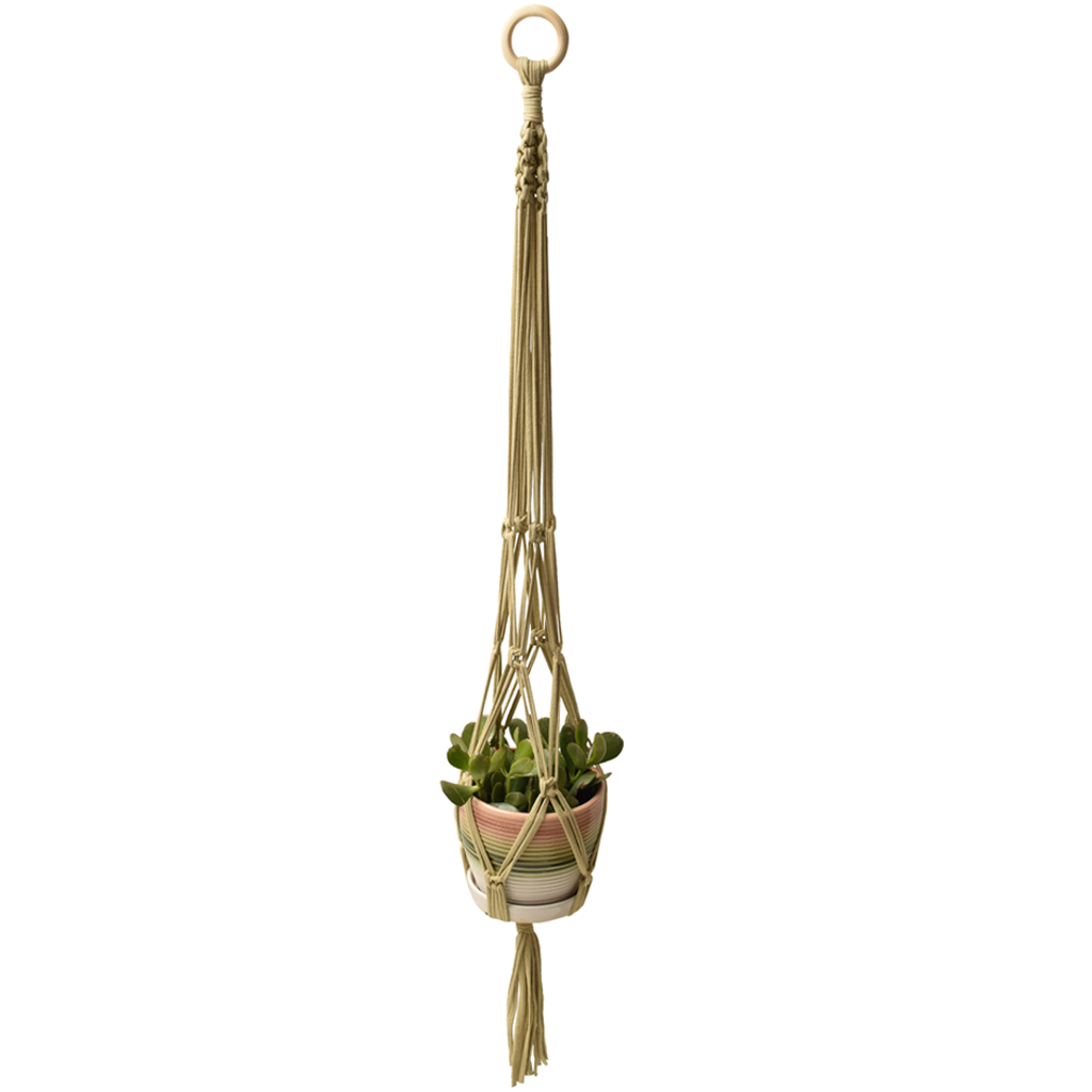 DIY Eco Macramé Plant Hanger Kit NEW