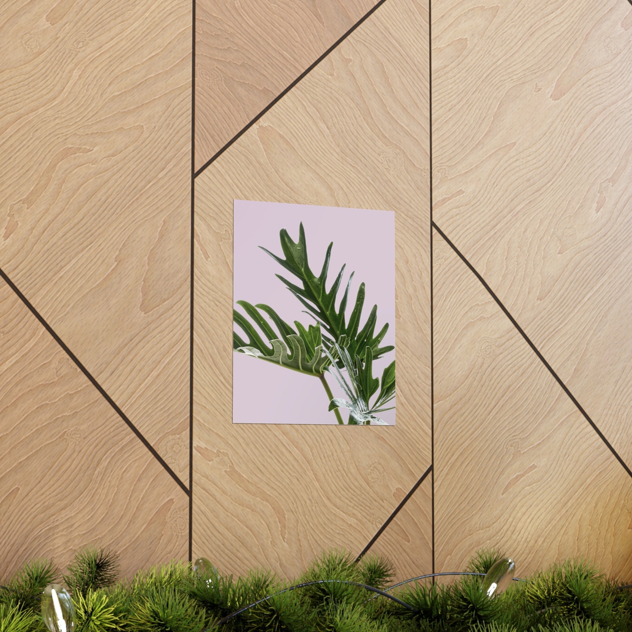 Philodendron Pink Poster