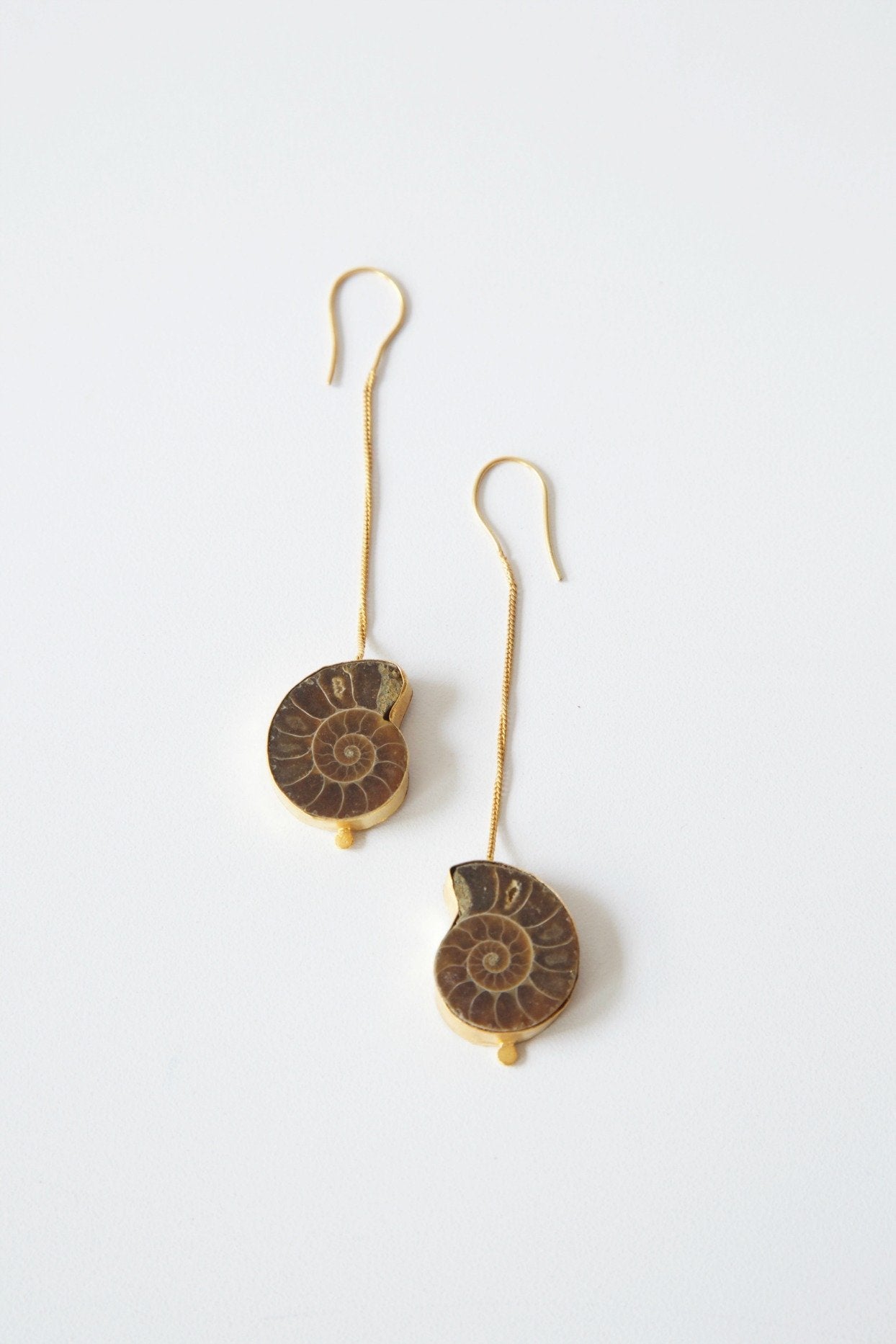 Ammonite Earrings