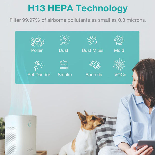 RedyPure H13 HEPA Filter Air Purifier Air Purifier Cleaner for Home