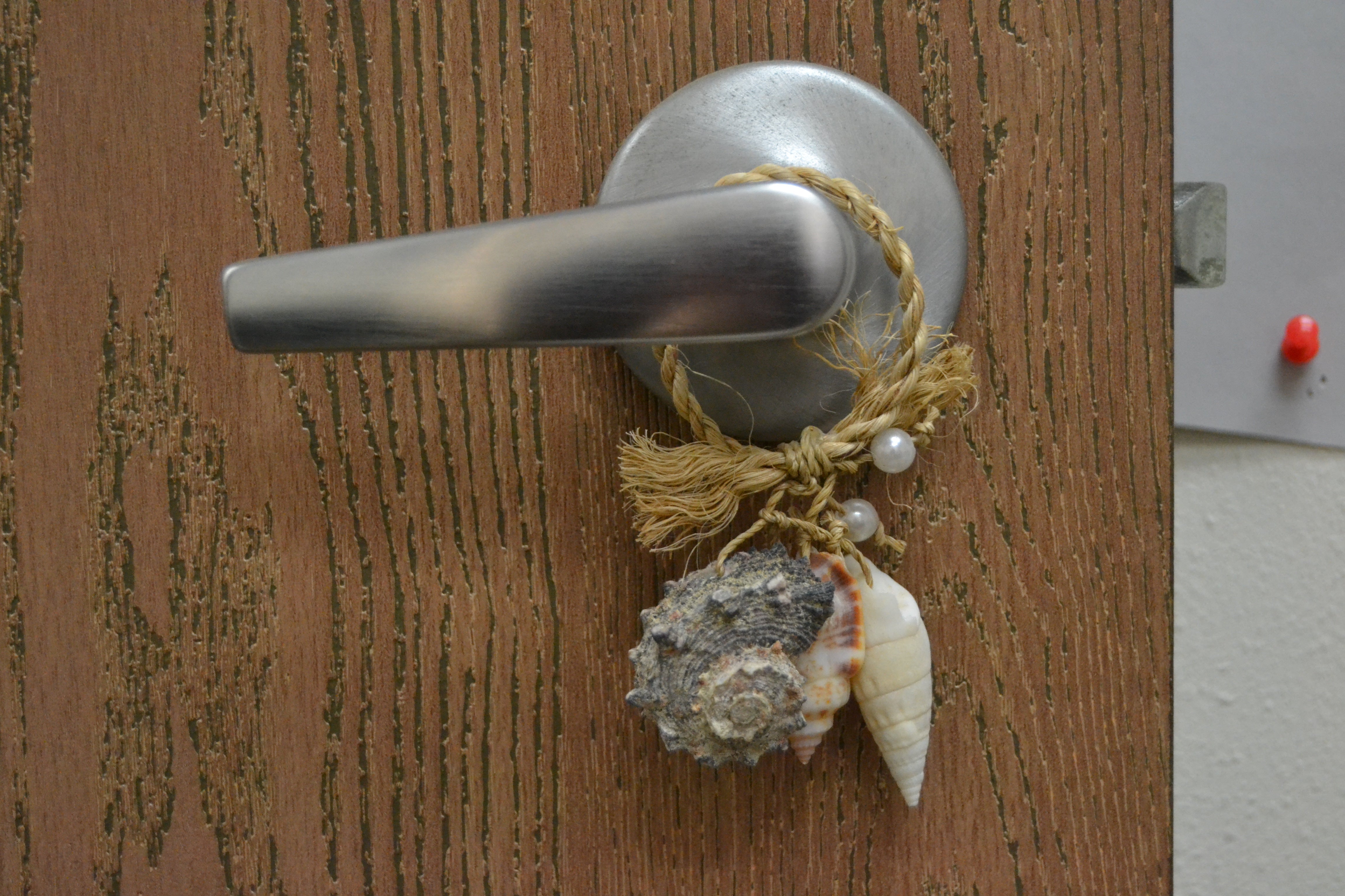 Assort Seashell Hanger Door Bottle Beach Decor