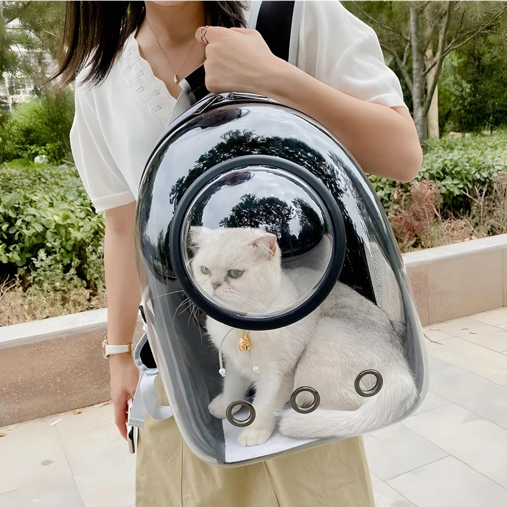 Luxury Cat Space Capsule Transparent Backpack