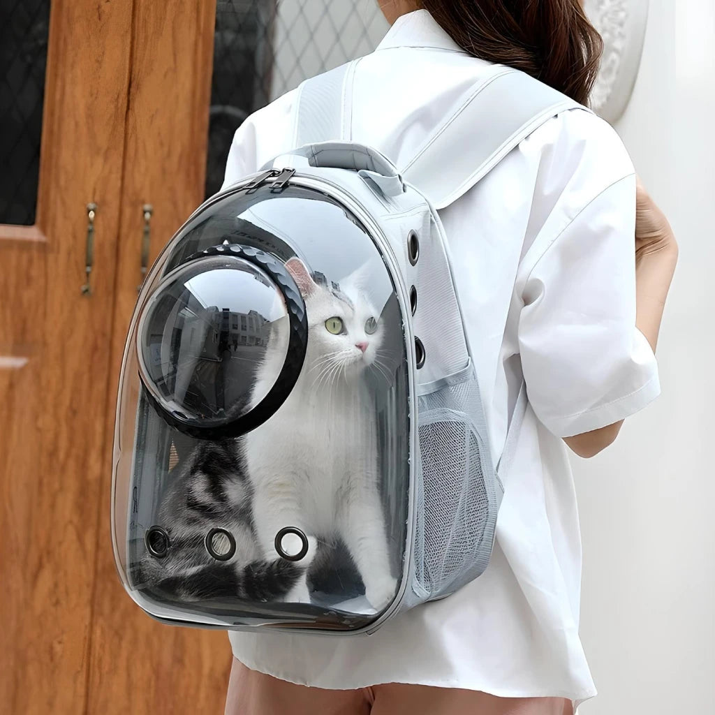 Luxury Cat Space Capsule Transparent Backpack