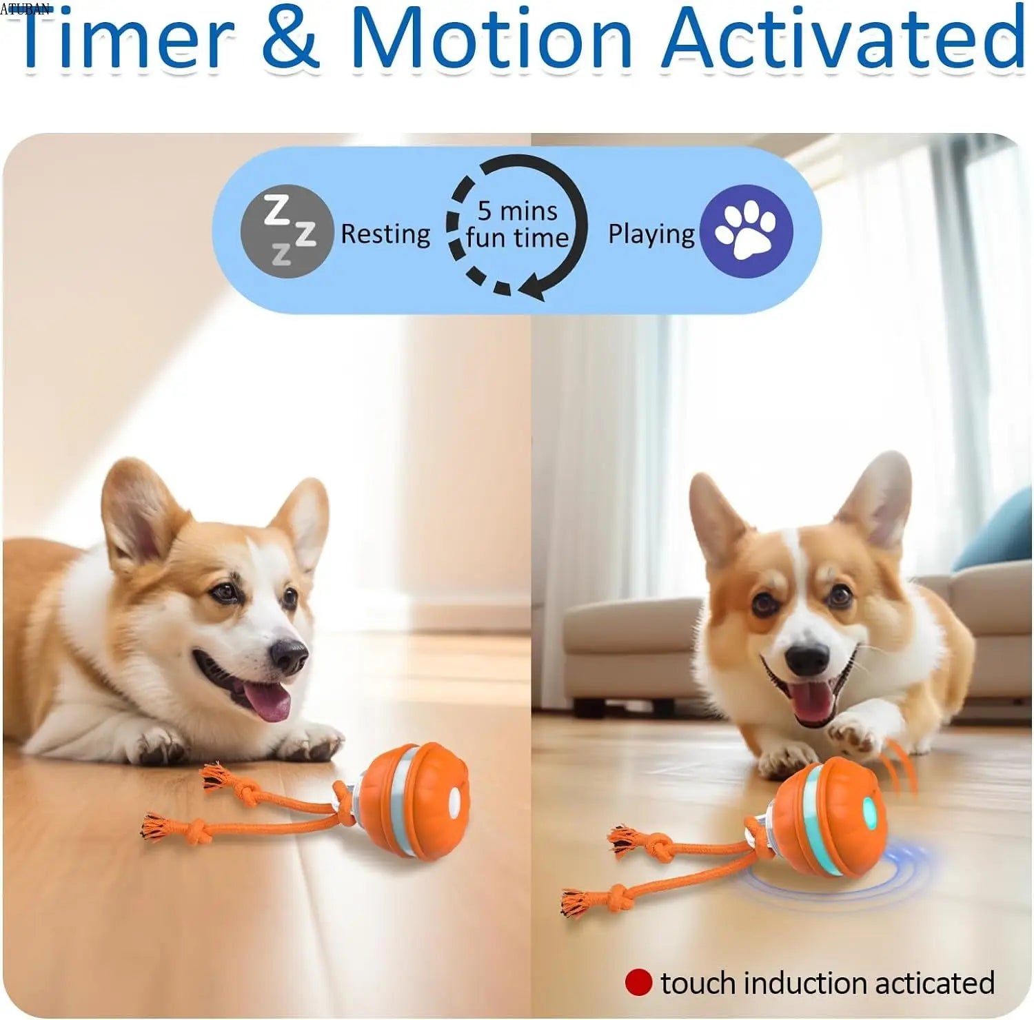 Interactive Motion Activated Dog Ball – Automatic Rolling Toy for Small Dogs