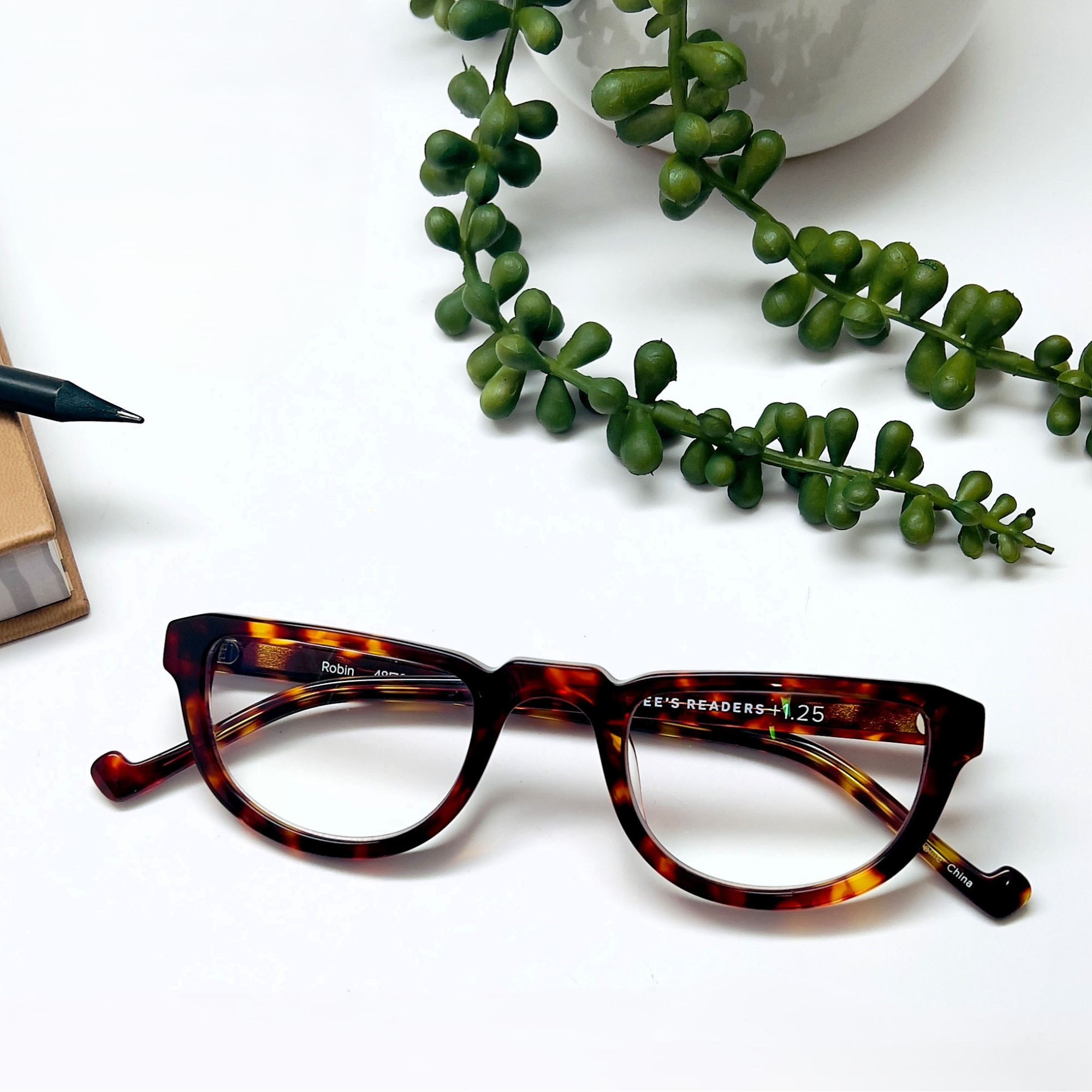 Progressive Readers - Robin
