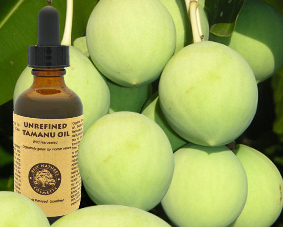 Virgin Vanuatu Tamanu Oil (organic, undiluted)