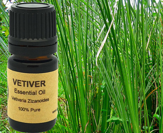 Vetiver Essential Oil