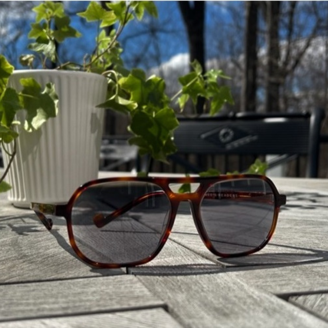 Progressive Readers - Ellis