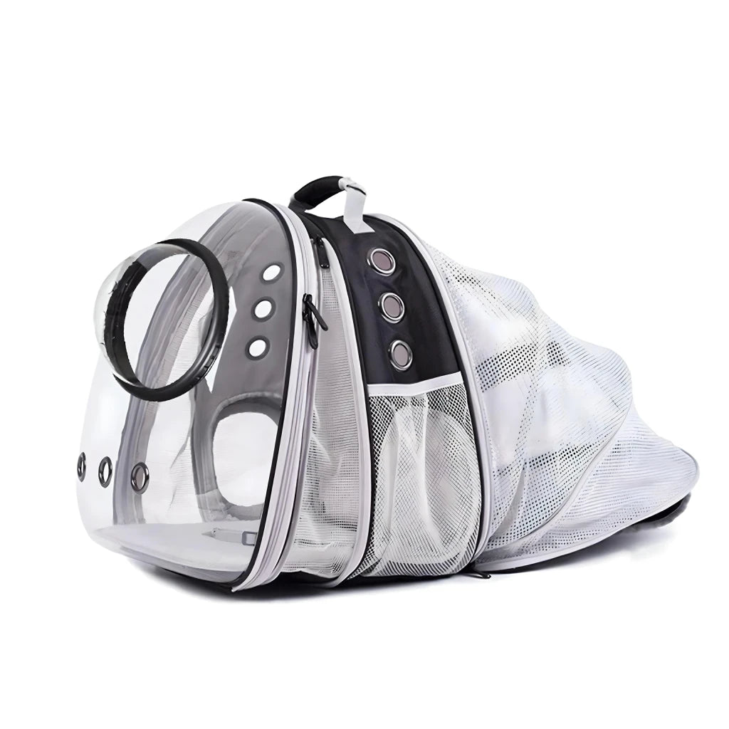 Luxury Cat Space Capsule Transparent Backpack