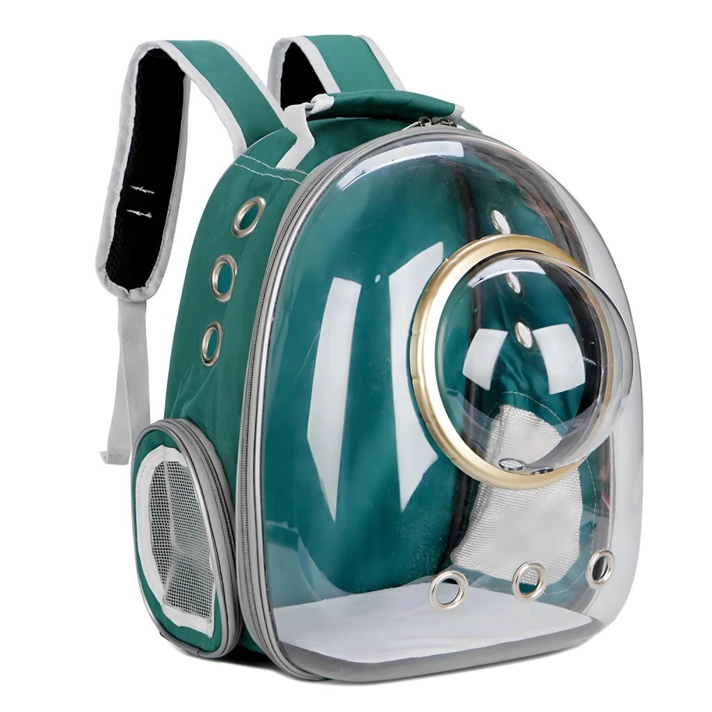 Luxury Cat Space Capsule Transparent Backpack