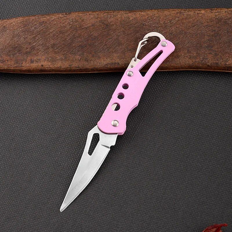 Compact Stainless Steel Folding Knife