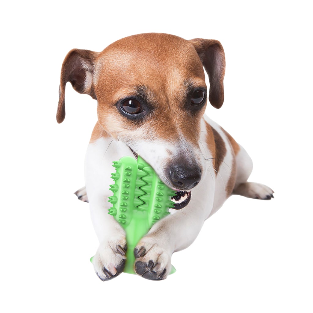 Cactus Dog Toothbrush