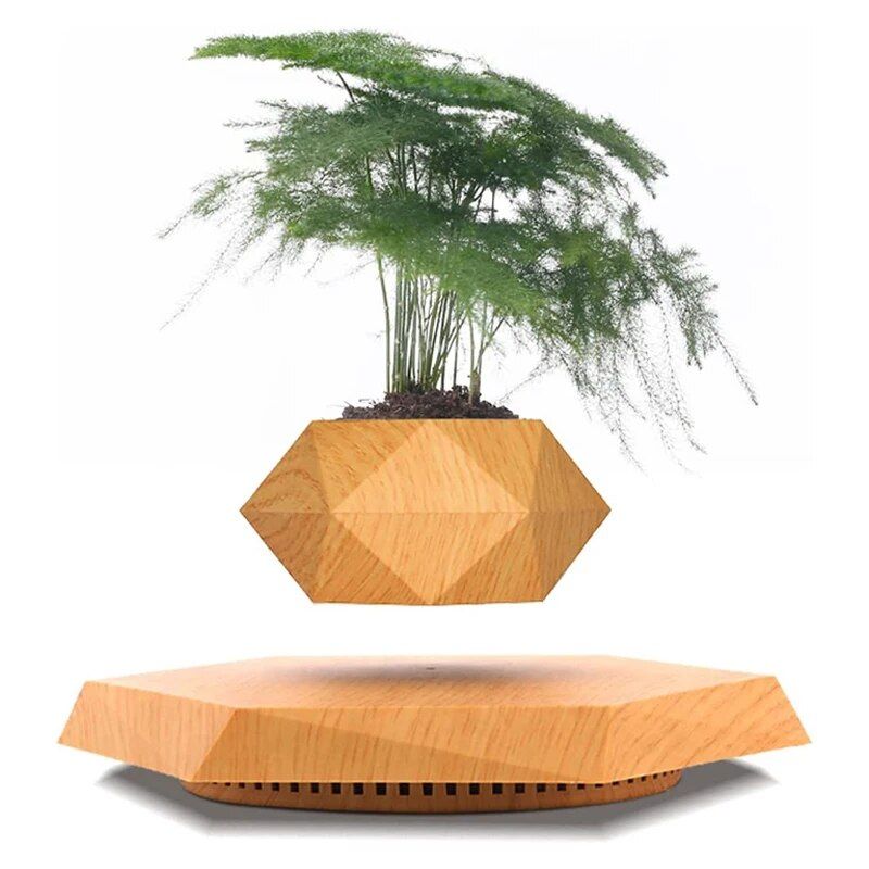 Floating Plant Pot Levitating Plant Pot for Succulents