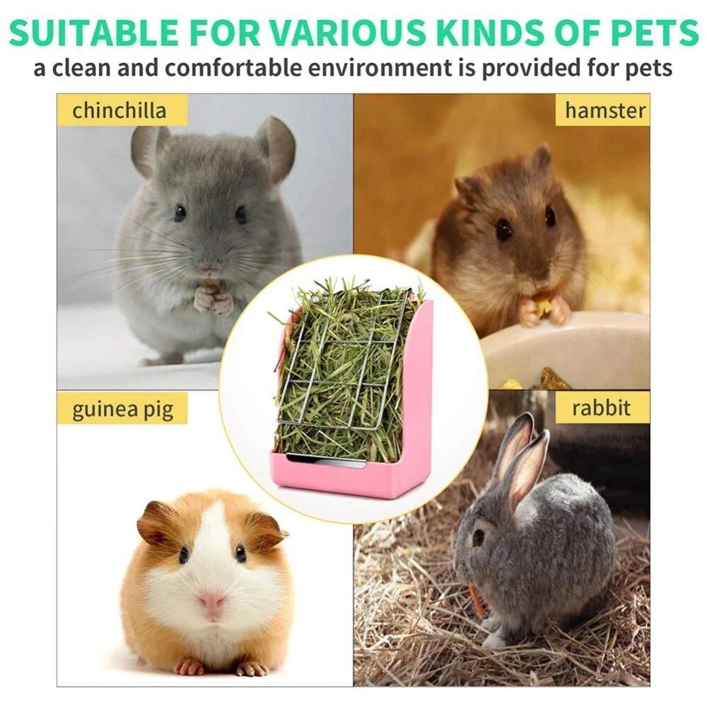 Multi-Color Durable Hay Feeder for Small Pets