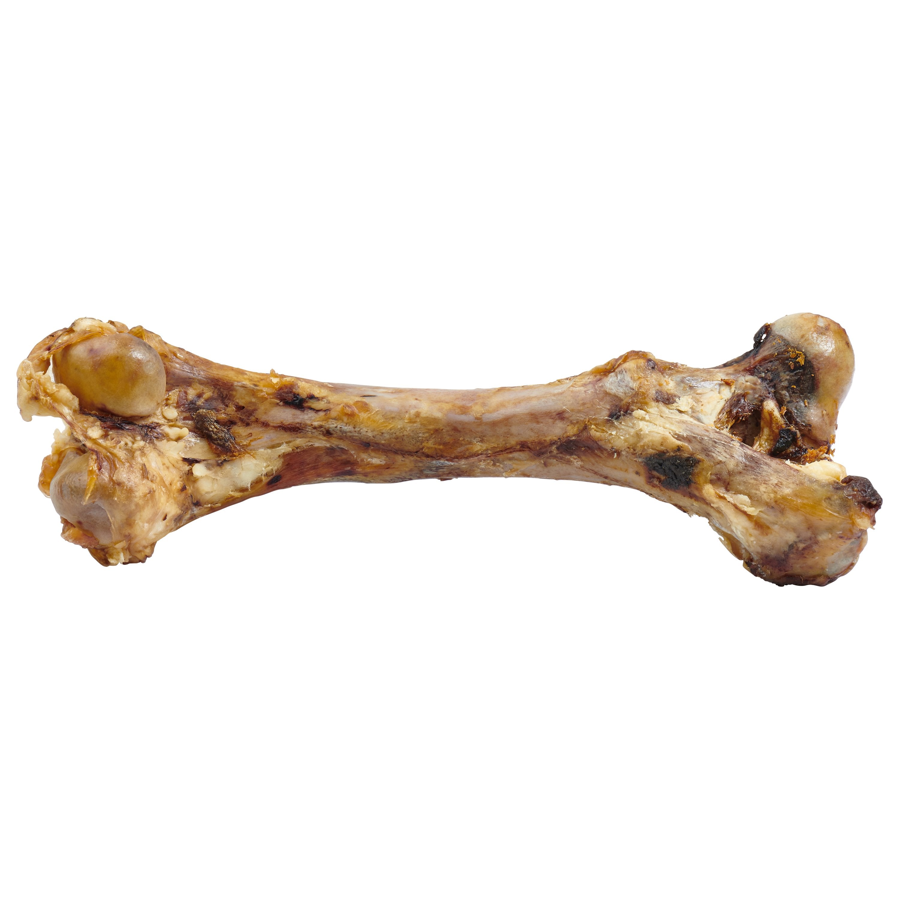 Giant Dog Bone - Grass-Fed Beef Femur Bone for Large Dogs | Ultramarine Daisy