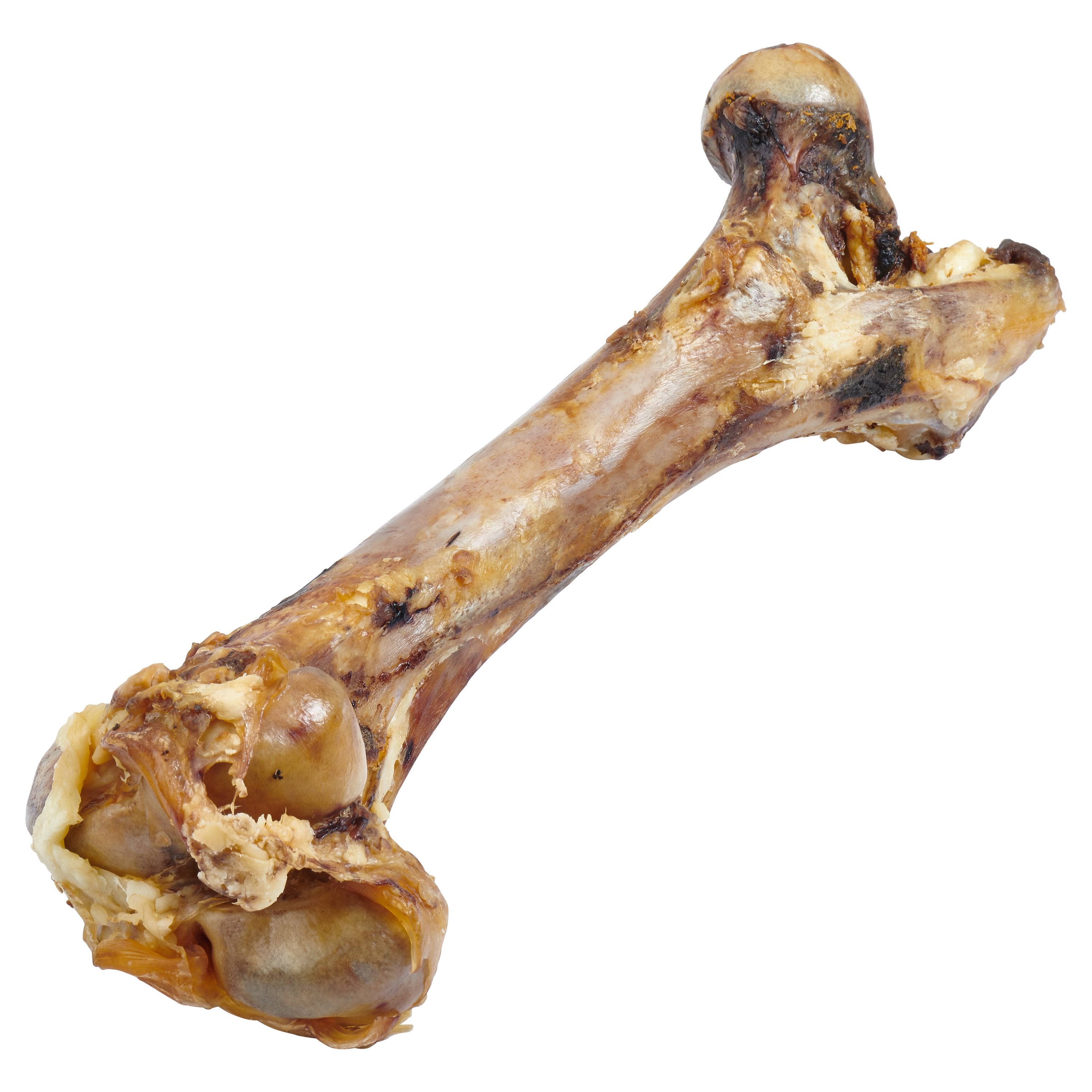 Giant Dog Bone - Grass-Fed Beef Femur Bone for Large Dogs - Zomdo Marketplace | Zomdo.com