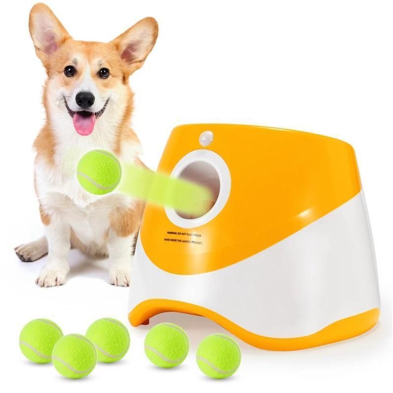 Interactive Dog Ball Launcher