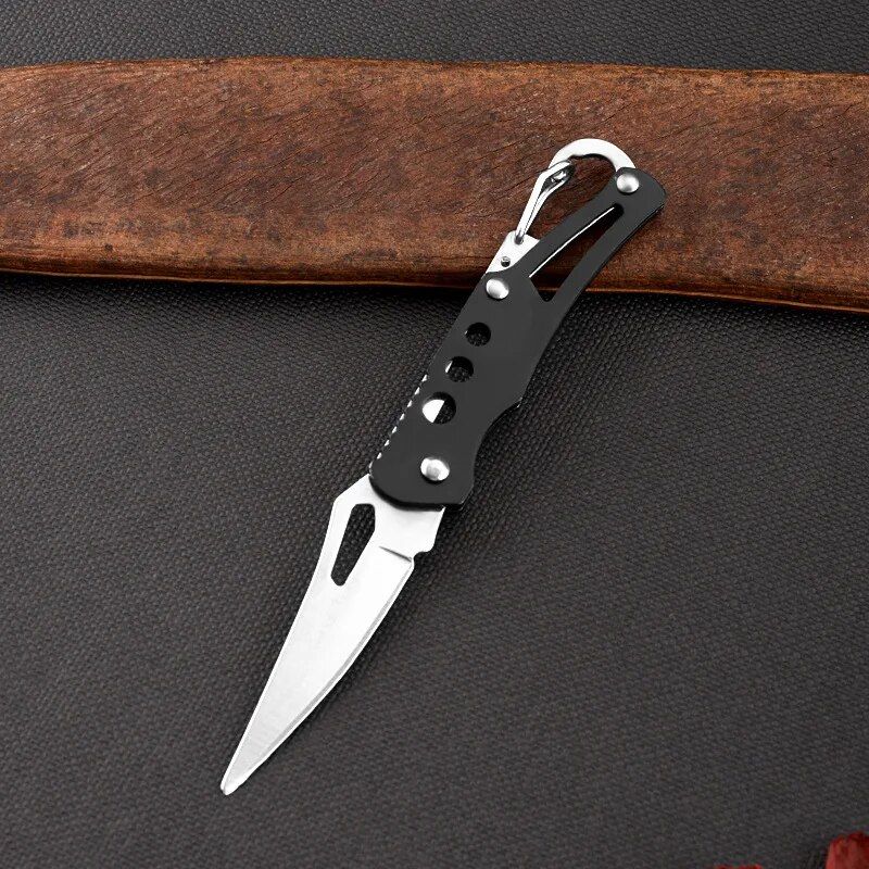 Compact Stainless Steel Folding Knife