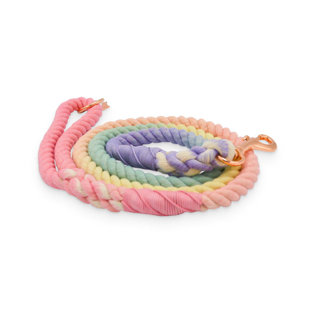 Rainbow Dog Leash