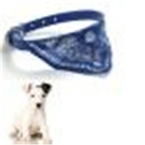 1PC small puppy pet collar with scarf Cut Dog Cat