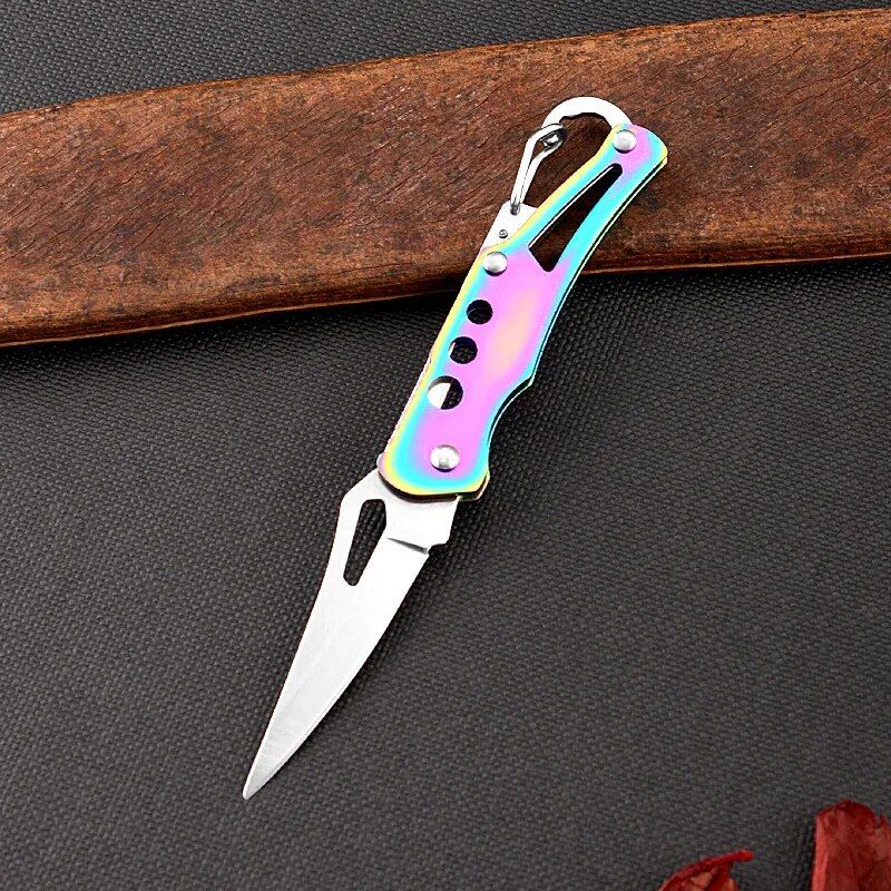 Compact Stainless Steel Folding Knife