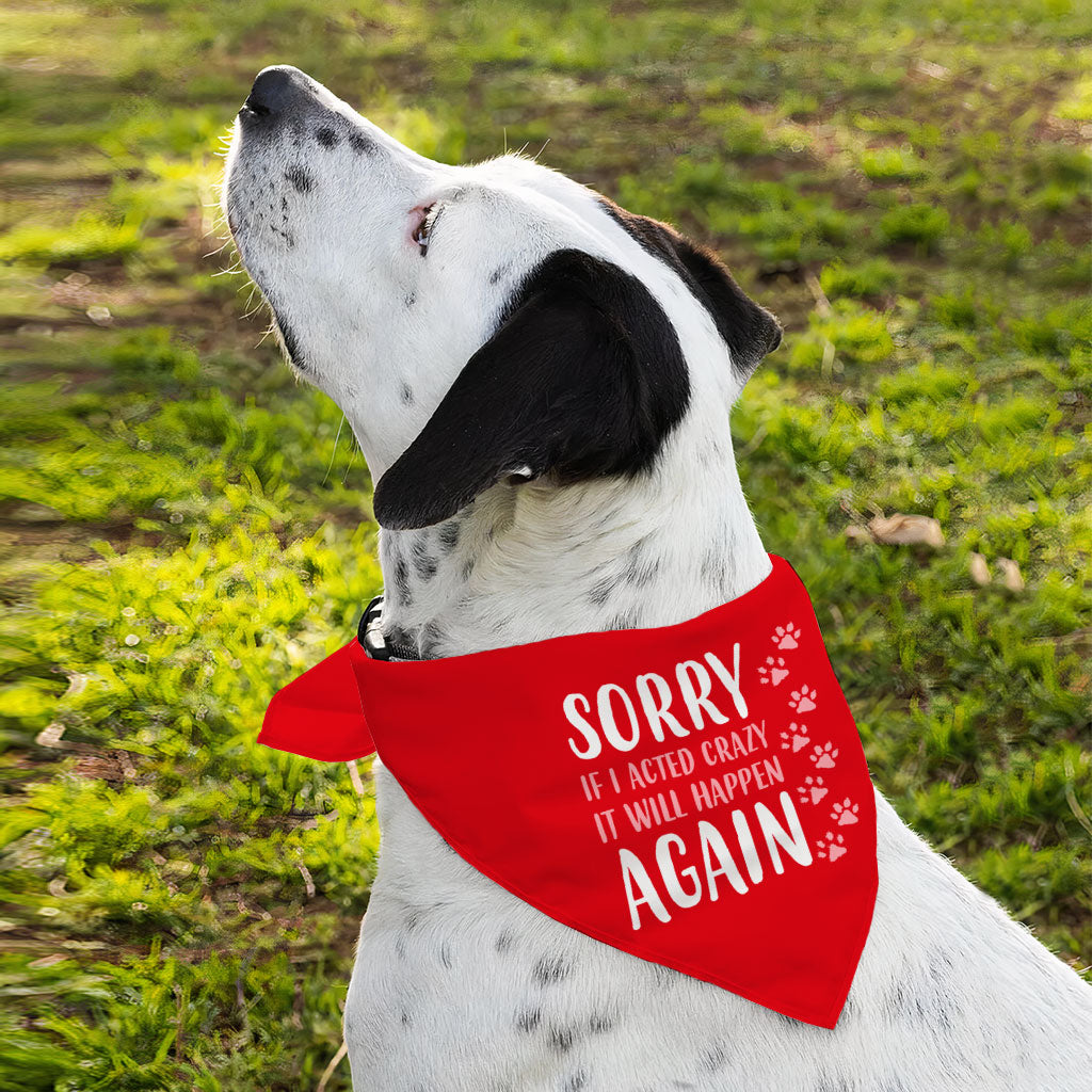 Acted Crazy Pet Bandana - Funny Dog Bandana - Colorful Pet Scarf