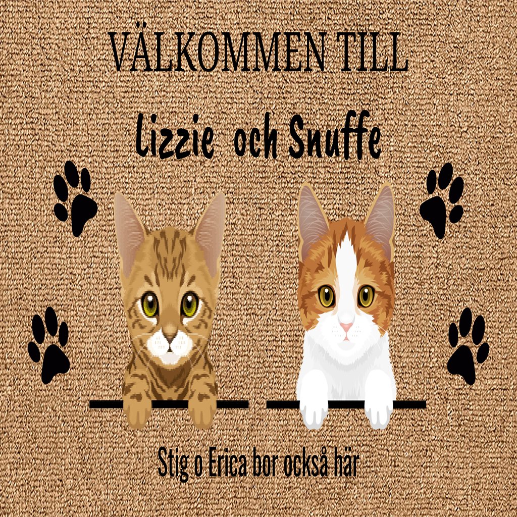 Random pet cat and dog custom mat