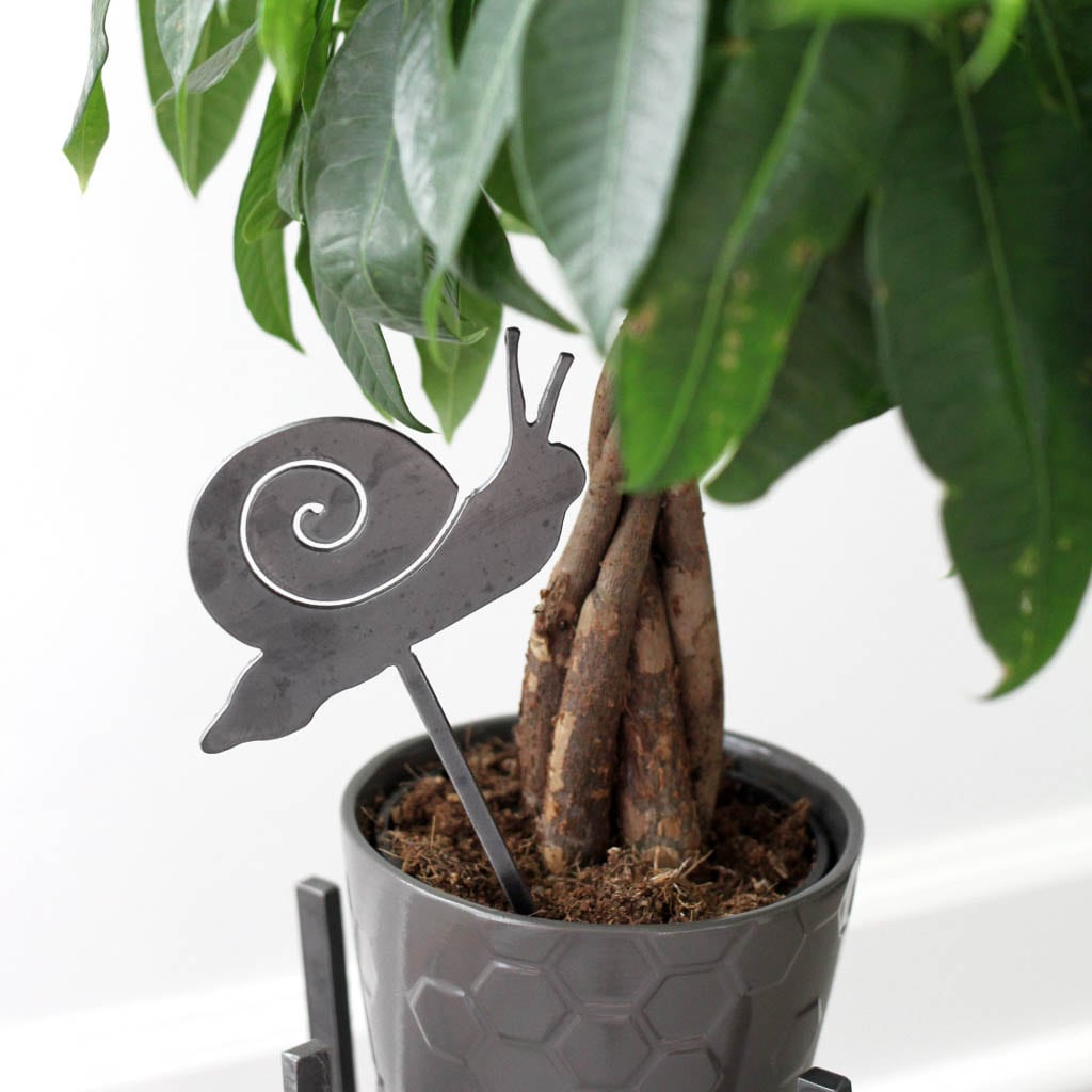 Snail Plant Stake