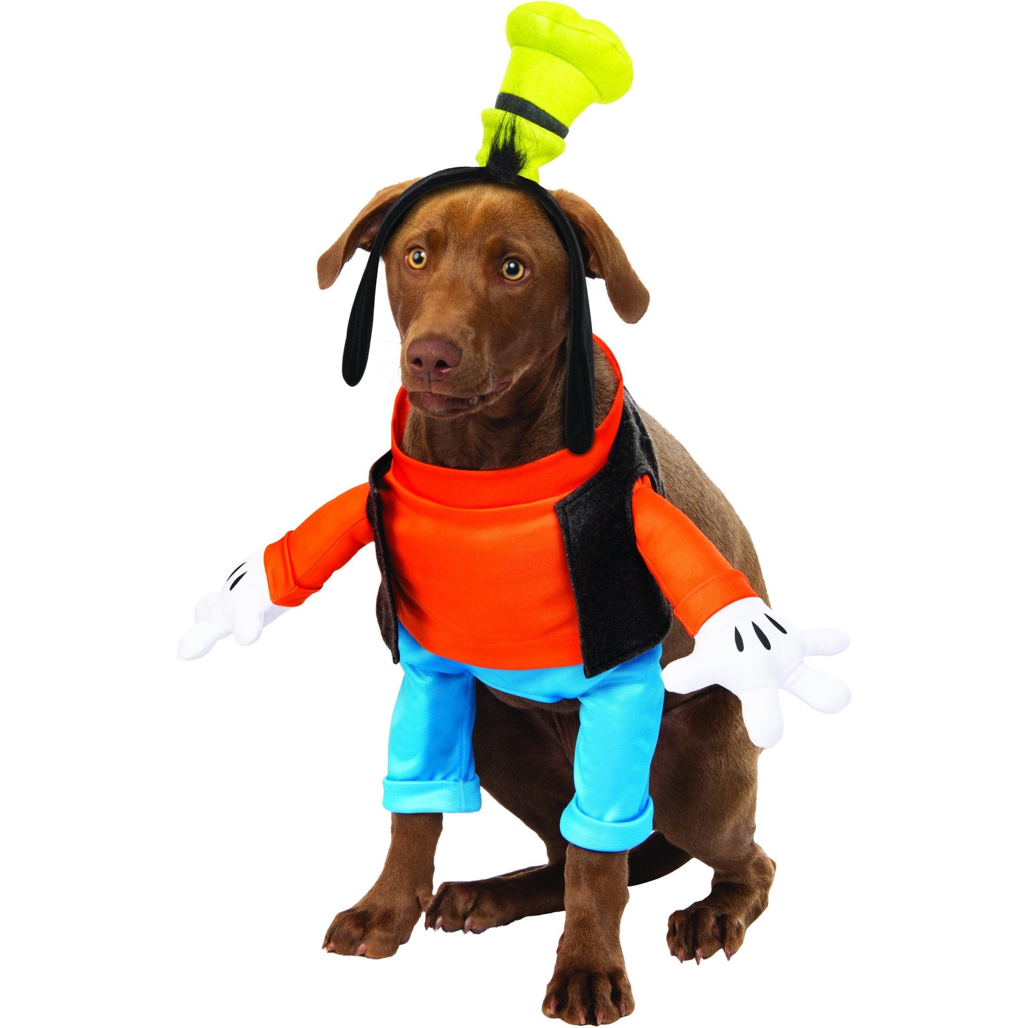 Goofy Disney Walking Pet Costume | Turquoise Daedalus