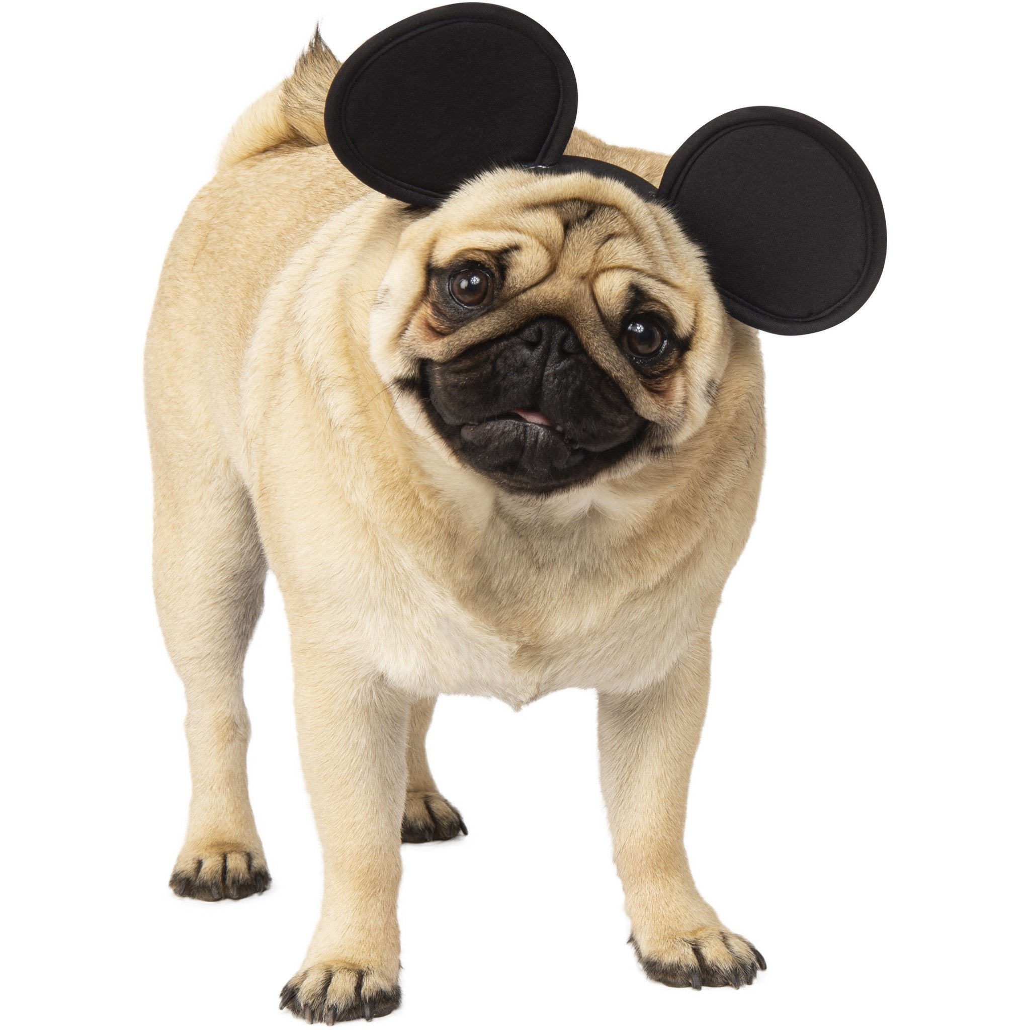 Mickey Mouse Ears Pet Headband | Turquoise Daedalus