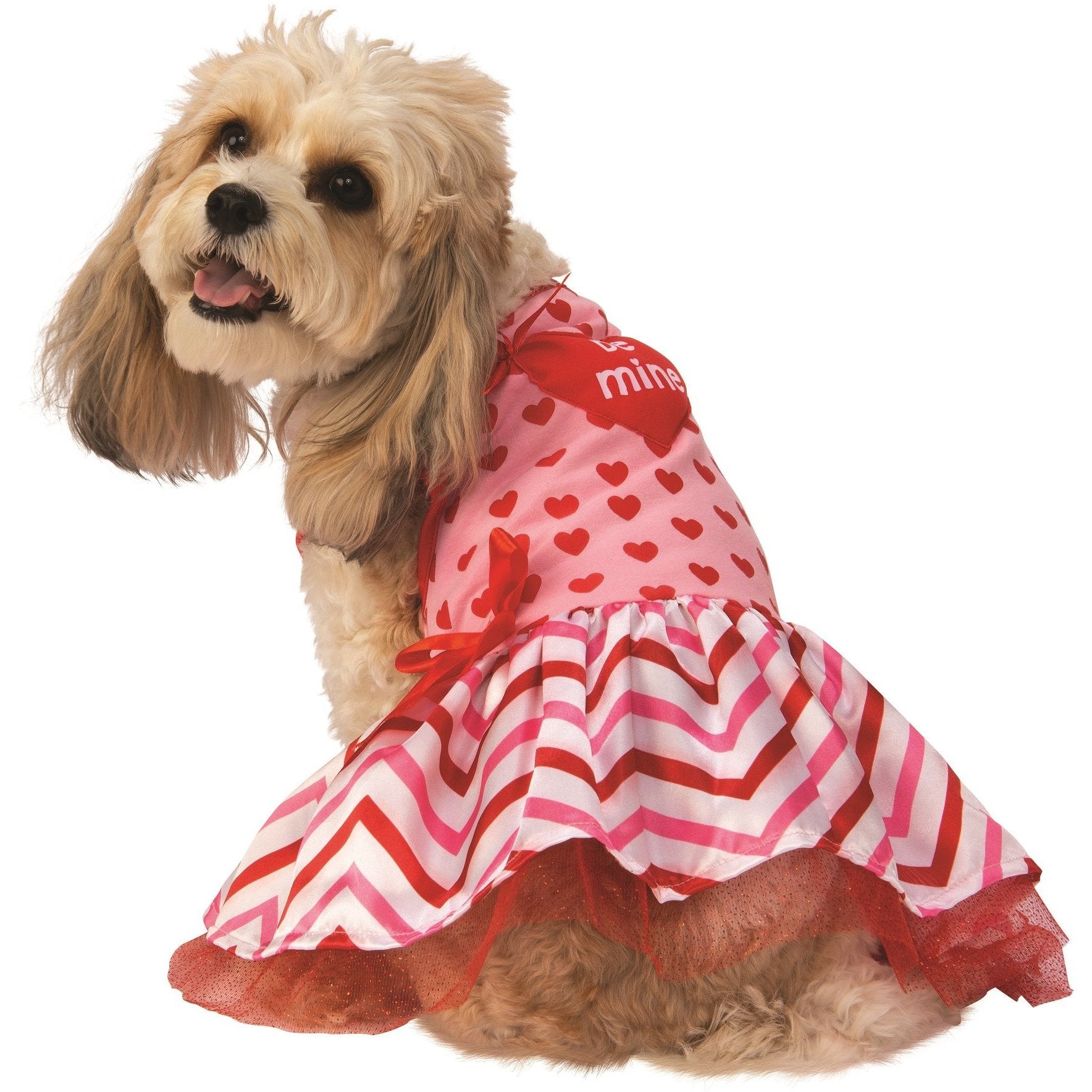 Valentine’s Day Dress Pet Costume