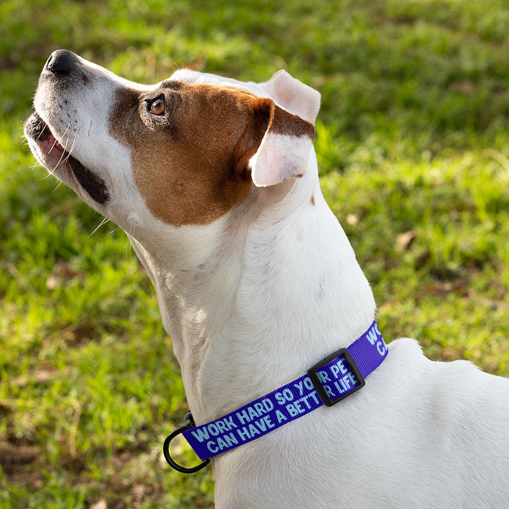 Work Hard Pet Collar - Funny Design Dog Collar - Best Design Dog Collar