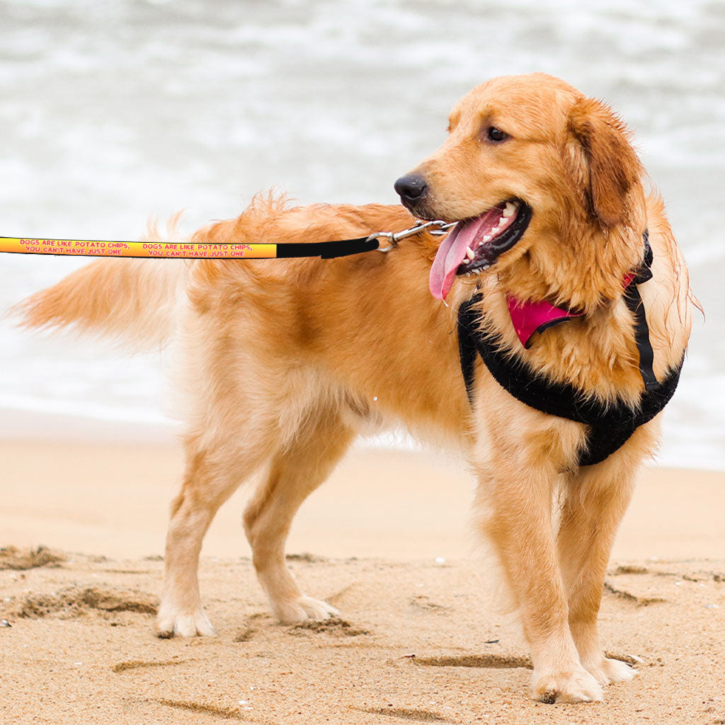 Dogs are Like Potato Chips Pet Leash - Funny Print Leash - Themed Leash for Dogs