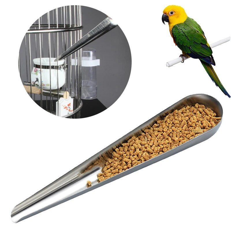 Stainless Steel Parrot Food Spoon