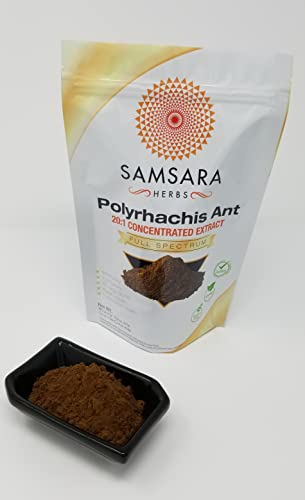 Samsara Herbs Polyrhachis Ant Extract Powder - 20:1 Concentrated Extract (8oz/227g)