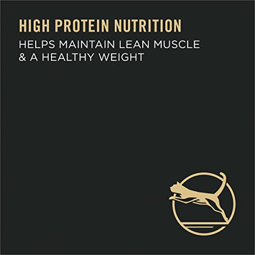 Purina Pro Plan Hairball Management, Indoor Cat Food, Turkey and Rice Formula - 7 lb. Bag