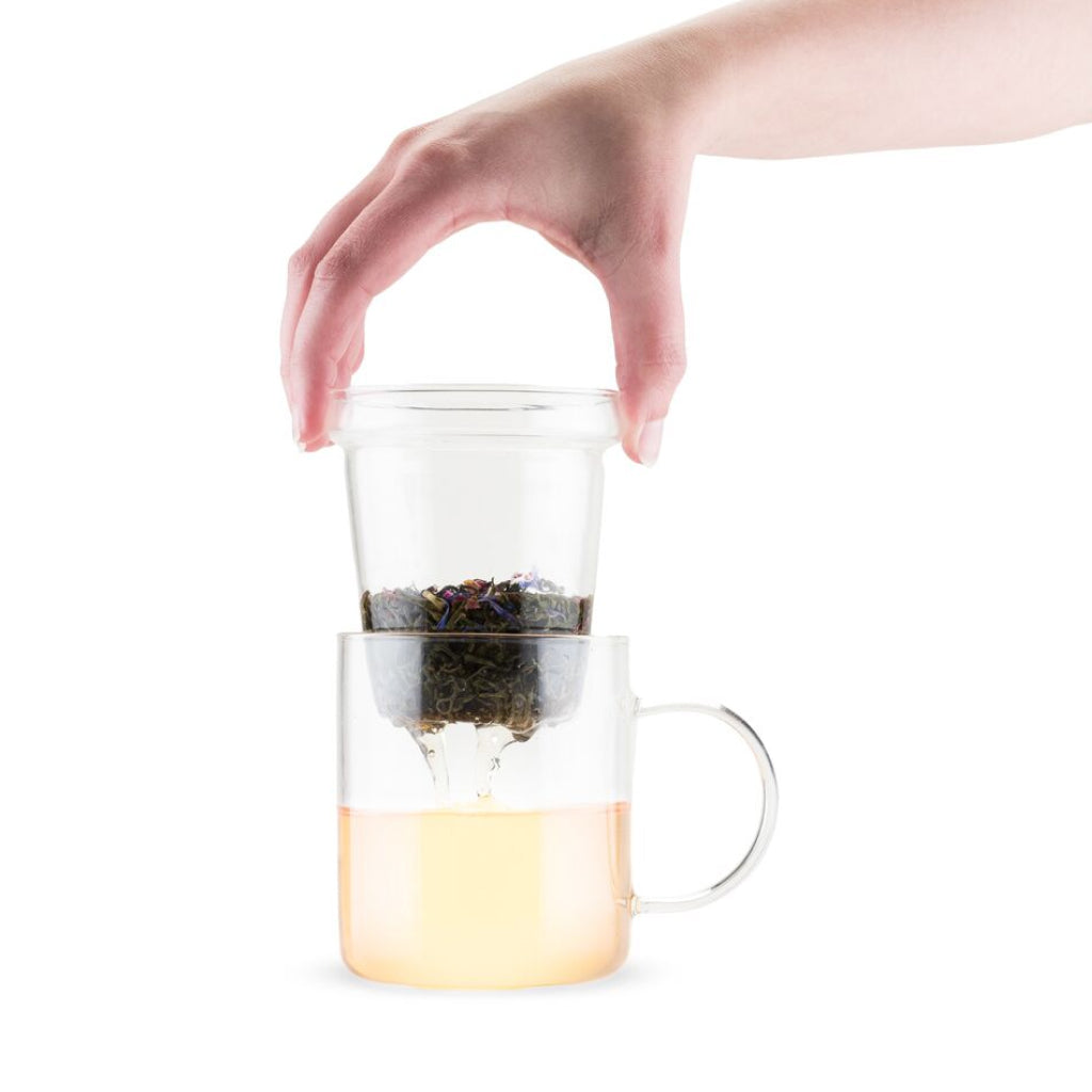 Blake Glass Tea Infuser Mug