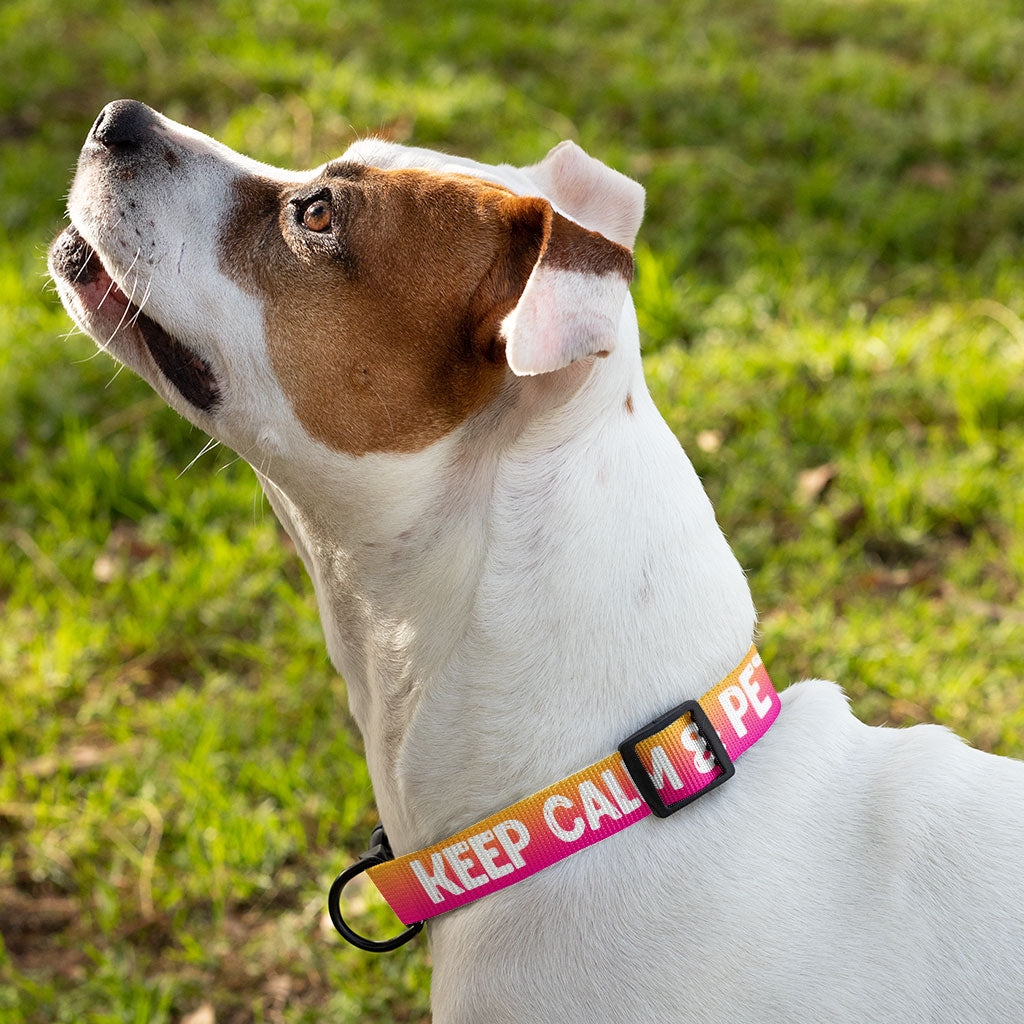 Best Keep Calm Pet Collar - Trendy Dog Collar - Cool Dog Collar